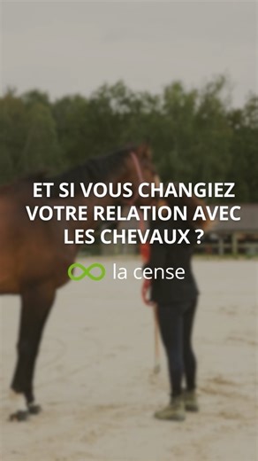 Haras de la Cense on Instagram: "🔥 Et si tout changeait dans votre relation avec votre cheval dès maintenant ? La formation en ligne « Éducation à pied » a commencé aujourd’hui mais il est encore temps de nous rejoindre ! ⏳ Les inscriptions restent ouvertes jusqu’au 17 février 2026, avec la possibilité de rattraper le début du programme 👏 Félicitations à tous ceux qui ont déjà fait le choix d’investir dans une relation plus sereine, et plus juste avec leur cheval 🐎 Plus de 80 000 cavaliers on