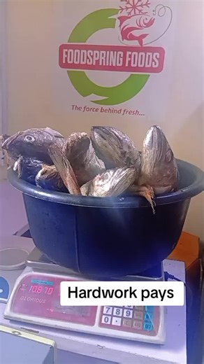 Foodspring Foods on TikTok