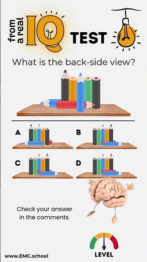 Can You Guess the Back-Side View? 🔍 | Real IQ Test Challenge #IQTest #3DThinking