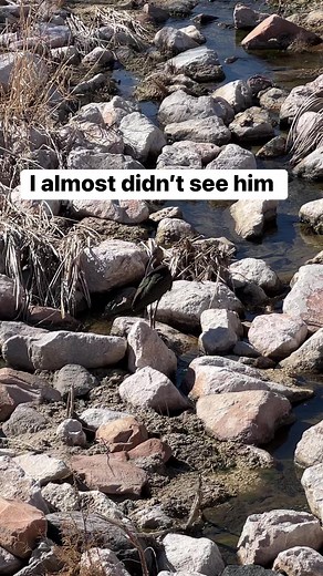 4.1K views · 15 reactions | What is he | Coed Comedy Team | Facebook