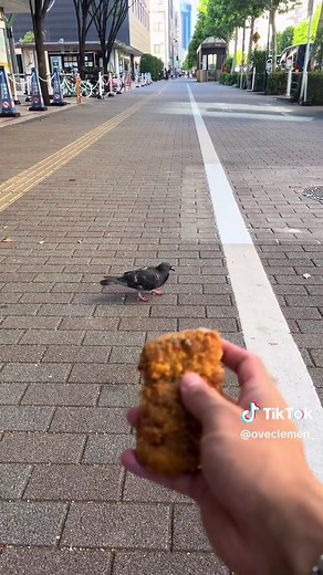 プラスマイナスゼロの意味とは