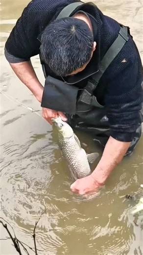 Amazing Technique to Release Fish from Gill Net! #shorts