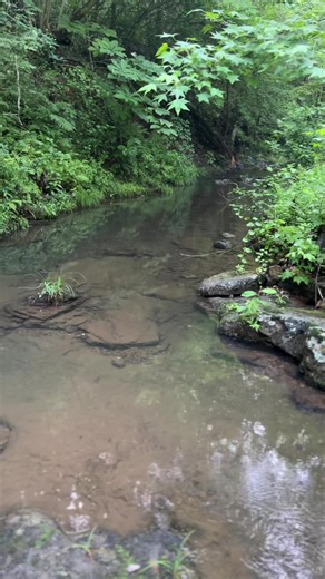 Mena is full of hidden gems like this one. #waterfall #mena #arkansas #nature #fyp