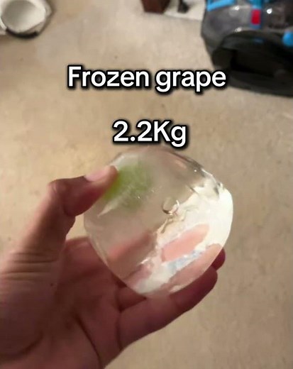 Frozen grape #growagarden#roblox