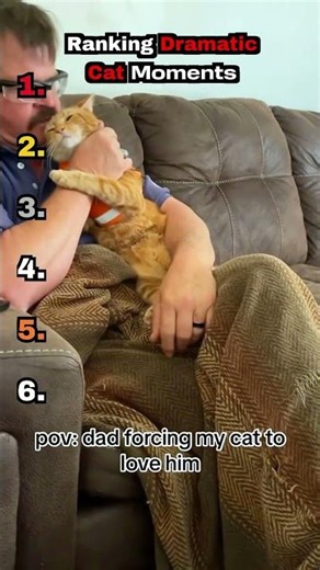 Ranking DRAMATIC CAT Moments🐈🎭 #shorts
