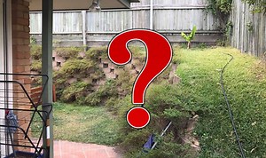 Terrifying moment woman hugs ENORMOUS snake