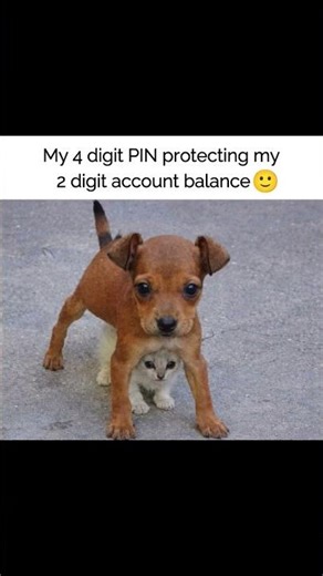 Security level: 100 | Balance: 0 💳💸 #shorts #relatable #funny #money #finance