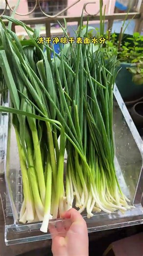 Unleash the Convenience of Frozen Scallions! A Must-Try Hack