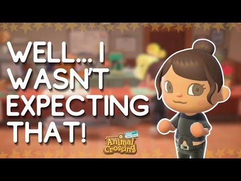 Chat with Me About the Island Plus Surprise! | Chatty ACNH Let's Play | Animal Crossing New Horizons