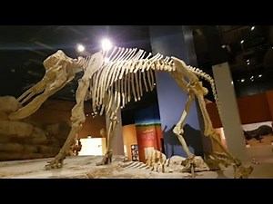 The King Abdul Aziz Historical Centre (National Museum of Saudi Arabia)مركز الملك عبدالعزيز التاريخي