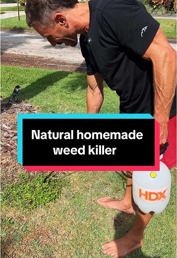 Natural Homemade Weed Killer: Safe & Eco-Friendly Solution
