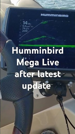Humminbird Mega Live with the latest update is on the same playing field as Garmin Live imaging.