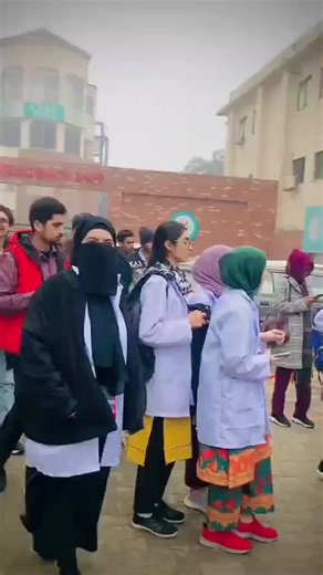 Understanding College Life: The Challenges and Joys