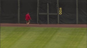 An uninvited guest got chased off the field at a minor league baseball game this weekend. | WGN Morning News