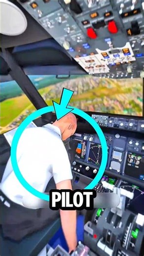 Pilot Passes Out Mid-Flight? Here’s How YOU Can Land the Plane!