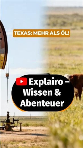 Texas: Mehr als nur Öl 🛢️