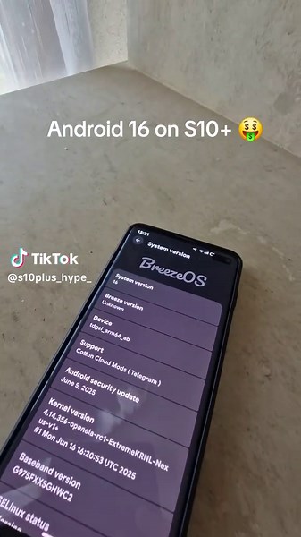 Android 16 Custom ROM Installation on S10