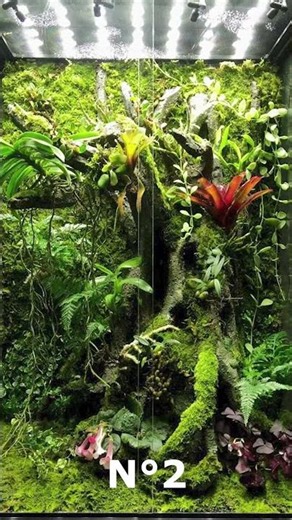 Short# - Top 3 great terrrariums