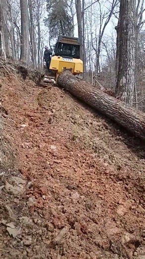 Bennett logging getting it done in the hills of tn