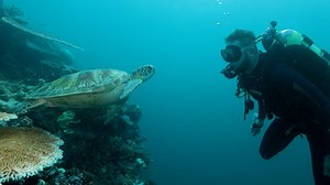 Check this off of the bucket list ✅ This was UNREAL 🪸🌊 | Dude Perfect