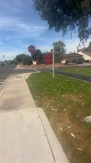 New Recording - 3/22/26, 1:13 PM