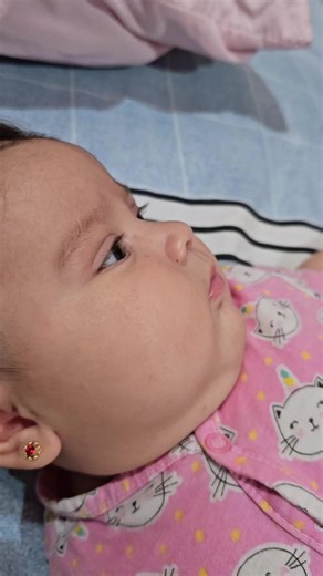 llorona y gritona 😂😂😂😂😂 | dogs crying