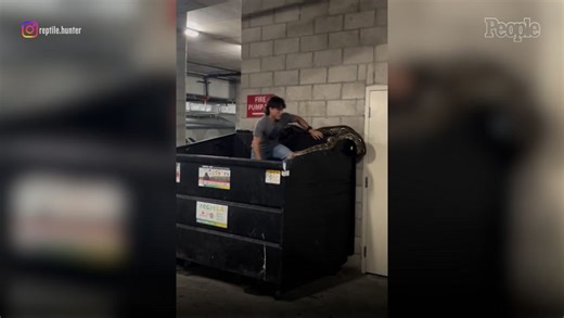 Sick 20-Foot Python Found Ditched In Los Angeles Apartment Dumpster
