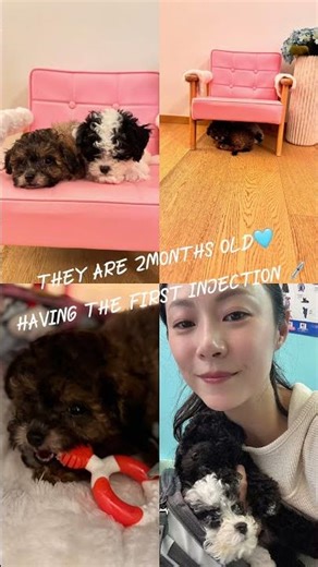 They are 2 months old🩵 Having the first injection💉