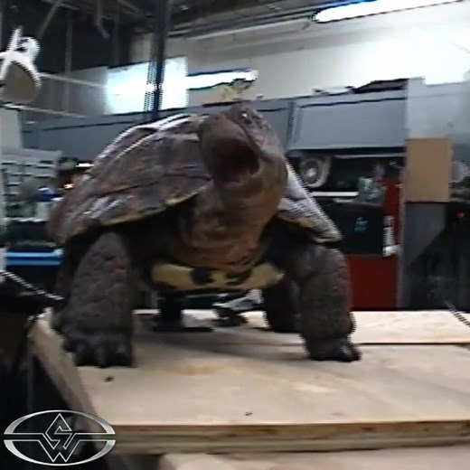 7.6K views · 273 reactions | Stan Winston Studio created several turtles for Comcast’s Slowskys turtle commercial series.  Here you can see one of them. #turtle #comcast #slowskys #commercial #stanwinstonstudio #animatronic #cablecontrolled | Stan Winston School of Character Arts | Facebook