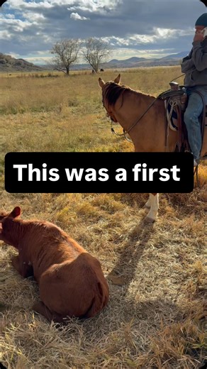 Double B Beef | This was a first! #doublebbeef #localbeef | Instagram