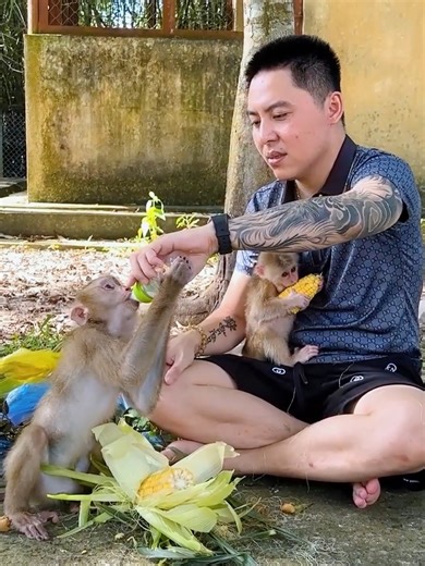 148K views · 6.5K reactions | The Kaka Story today! Mit and Kaka want to return to their parents' house #Kaka | Kaka Page | Facebook