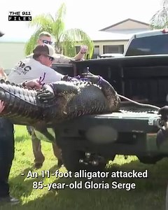 The Alligator Caught Her' | Miracle Survivors