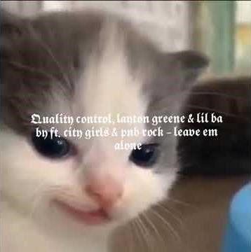 quality control, layton greene & lil baby ft. city girls & pnb rock - leave em alone (sped up)