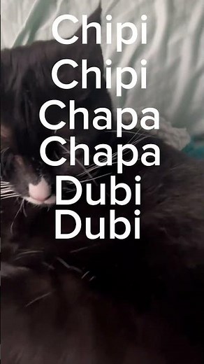 Top 5 Gen Alpha songs