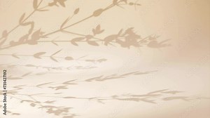 Background shadow leaf tree plant over sandy wall corner studio house animation