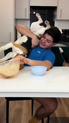 Cooking with Beagles: A Fun and Heartwarming Experience