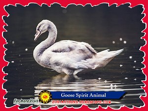 Goose Spirit Animal: Meaning, Symbolism, Dream of the Goose Totem