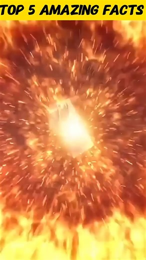 Amazing Food Facts You Didn't Know About