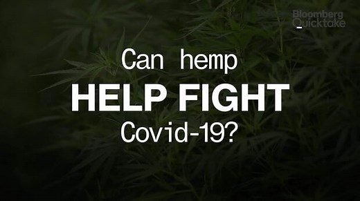WATCH: Cannabis compounds prevented Covid-19 infection in a lab study. Oregon State University’s Prof. Richard van Breemen tells Rosalie e’Silva more.