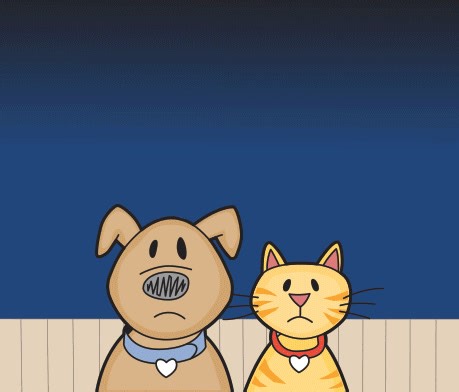 New Year's is one of the busiest times of year for animal shelters, as we prepare to take in hundreds of pets who panic and are lost during fireworks. 🎆😿 Take the necessary steps NOW to prepare your pet! Make a plan, make sure they're wearing a collar and tag (tags available for free at PACC!), and please keep them INSIDE! 💙 Read more here: https://www.pima.gov/2233/Pima-Animal-Care-Center-PACC?contentId=adf8c202-c0bc-4dad-9ffc-adddfe961561. 💙 | Pima Animal Care Center