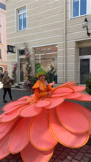 Istari moment in Timisoara be like 😍🤗🇷🇴 #romania #travel #traveldestinations