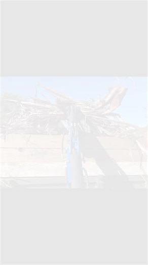 Tim Stack Sr. on Reels