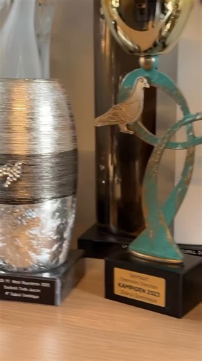 We visit the property of Dominique Dubrul in Hulste 🇧🇪 📹 BENZING Live Tv into the loft to talk about his provincial winners, the system and some tips and tricks. #duivensport #liefhebbers #racingpigeons #benzing #benzinglivetv #chinasaige #duivenhok #brieftaubensport #duiven #pigeonsport | BENZING - Gantner Pigeon Systems GmbH