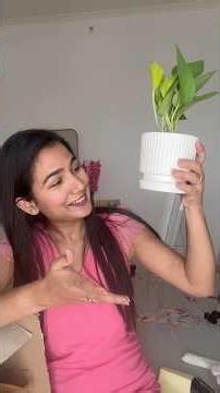 Unboxing Ugaao plants #ugaao #indoorplants
