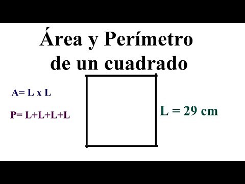 AREA AND PERIMETER OF A SQUARE