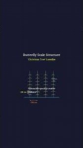 Structural coloration: How butterfly wings create color without pigment using nanostructures