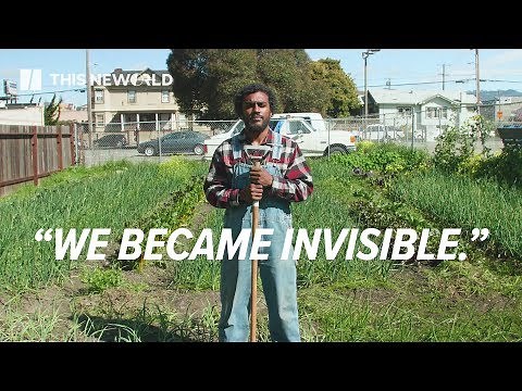 Forgotten Farmers: African-American Land Loss | This New World