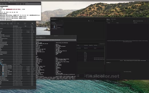 如何导出高码流的h265 采样422 10bit的mp4