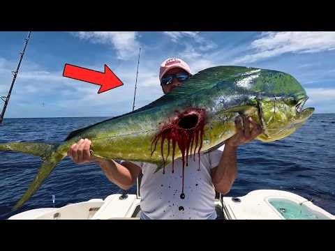 High SPEED Mahi FISHING!