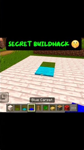 secret build hack in Minecraft #minecraftbuildhack